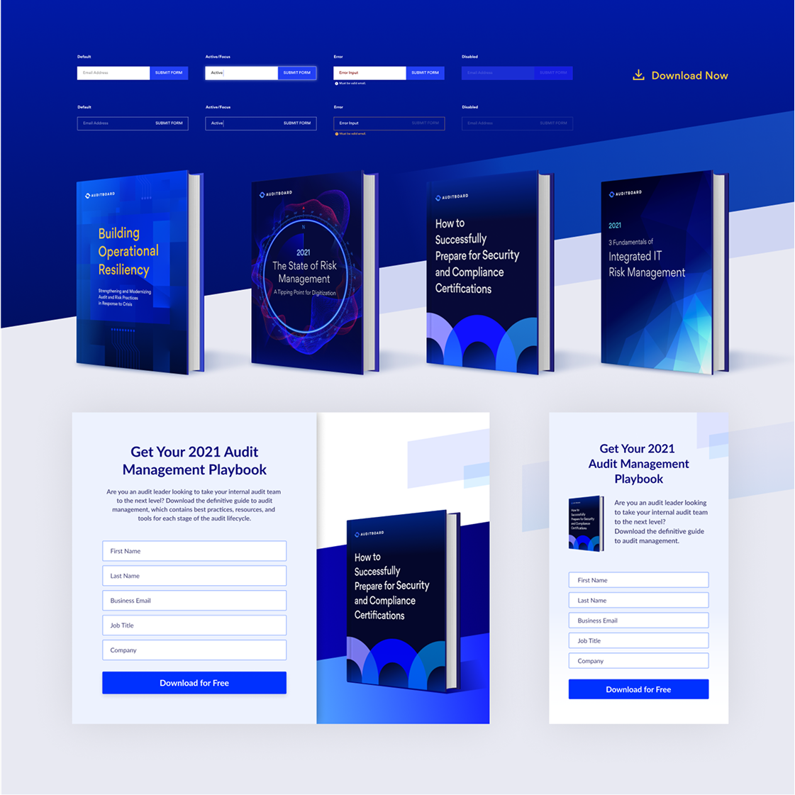 AuditBoard ebook and landing page marketing materials.